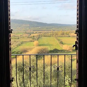 Janna Entosa-ammentos Posada (Sardinia)
